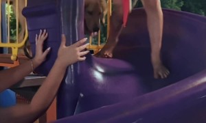 Golden Puppy Goes Down Slide Too