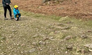 Outdoor Adventures in a Unique One-Wheeled Stroller