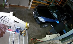 Man Jumps Out Of Bed To Deter Bears From Car