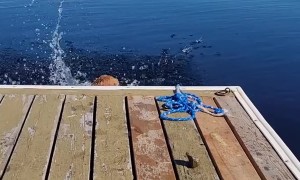 A Slight Miscalculation