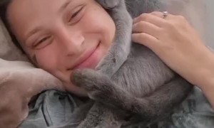 Cuddly Kitten's Headlock of Love