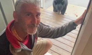 Man Instantly Regrets Taking Selfie With Bear
