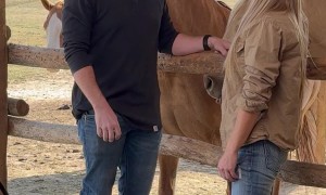 Wesley Plays Part Of Perfectly Normal Horse