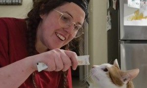 Cat Sitter Discovers Adorable Sound Kitty Makes While Eating Lickable Treats