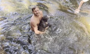 Elderly Dog Is No Longer Buoyant