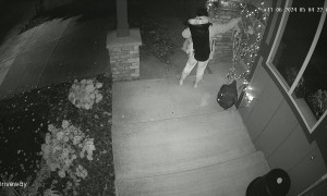 Security Camera Catches Apparent Theft of Halloween Decorations