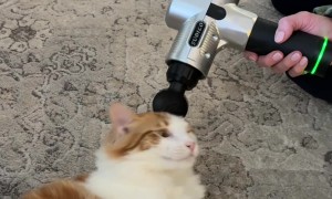 Carl Just Wants His Bonkies