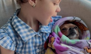 Girl Sings Puppy To Sleep