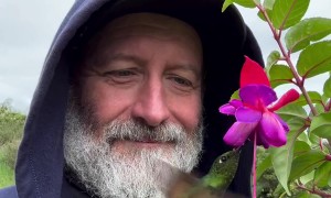 Hummingbird Dances From Man's Cap To Bloom