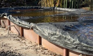 Northern California Earthquake Turns World Into Rocking Ship