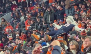 Denver Broncos Mascot Goes Crowd Surfing