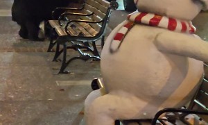 Gatlinburg Black Bear Wants Fudge