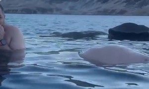 "Whale" Sighted At Icelandic Hot Spring