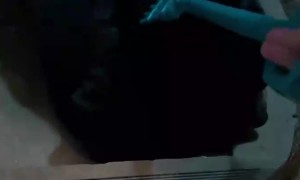 Gentle Rake Scratches Soothe Bear