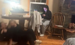 Silly Friends Fail To Dance Together