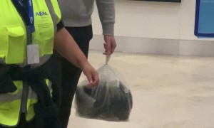 Mom Greets Son Dressed as a Washing Machine