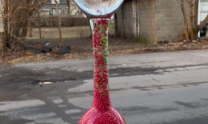 Satisfying Beads Moving Through Glass Bottles