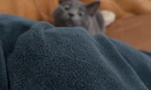 Derp Coming For the Hand Monster