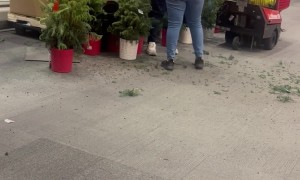 Store Employee Throws Plants In Grand Exit