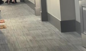 Neighbor Woman Screams At Six Police Officers