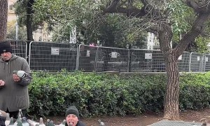 Woman Feeds Pigeons From Her Mouth