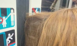 No Hairs Were Damaged