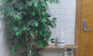 Weird Bathroom Has Odd Decor And Tandem Poop Stations