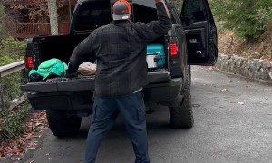 Bear Snags Drink from Pickup Truck