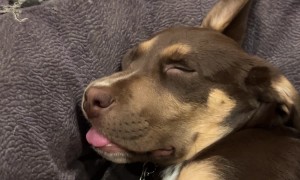 I Always Feel Like Somebody's Watching Me