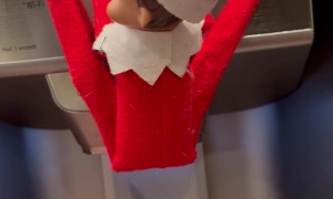 Elf on the Shelf's Icemaker Surprise