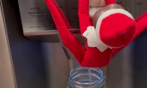 When You Let Kids Move the Elf on the Shelf