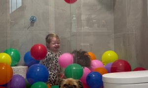 Unimpressed by Pure Joy