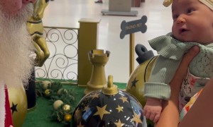 Daughter's First Time Meeting Santa