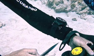 How a Scuba Diver Celebrates New Years