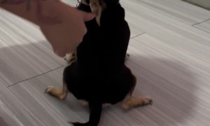 When You Find the Perfect Spot