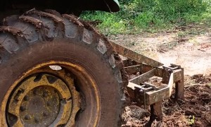 A Single Dog, Who Works Real Hard