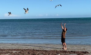 Dad Summoning Seagulls