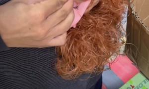 Doll Eyes Popped Into Place For Production