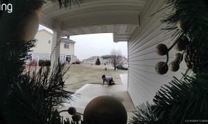 Minnesota Ice Causes Alabamian Woman To Slip