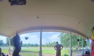 Delivery Driver Surprised By Double English Bulldogs