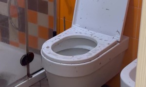 Toilet Pukes Dark Water