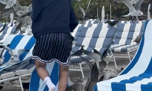 Flock Of Gulls Screech Over Beachgoers