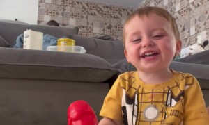 Very Contagious Little Laugh