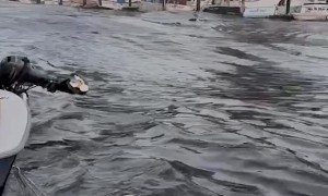 Santa Cruz Harbor Breaks Apart