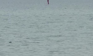 Santa Relaxes On Paddleboard