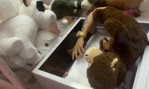 Man Climbs Into Claw Machine to Take His Prize