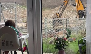 A Little Baby Enjoys Watching an Excavator at Work