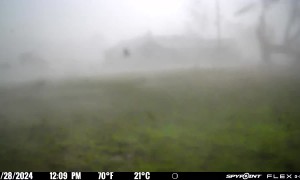 Trailcam Battered By Tornado Winds