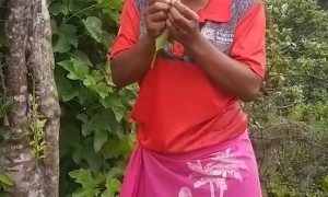 Woman Blows Bubbles From Plant Stem