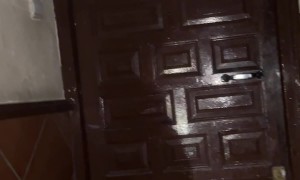 Airbnb Has Tiny Door